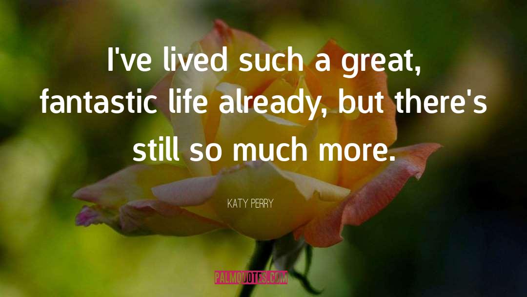 A Life Lived Ridiculously quotes by Katy Perry
