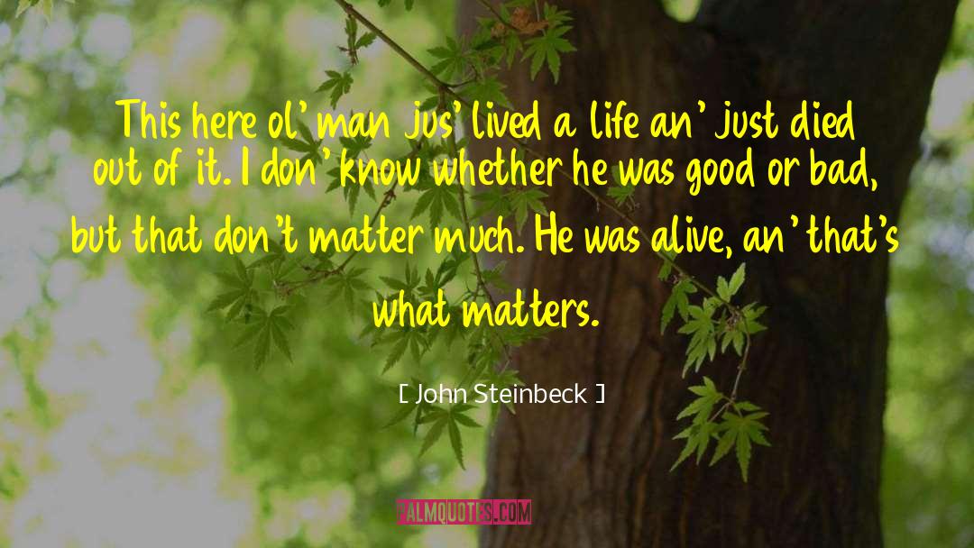 A Life Lived Ridiculously quotes by John Steinbeck