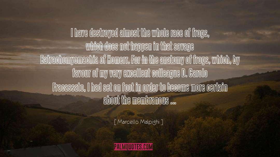 A Light In The Dark quotes by Marcello Malpighi