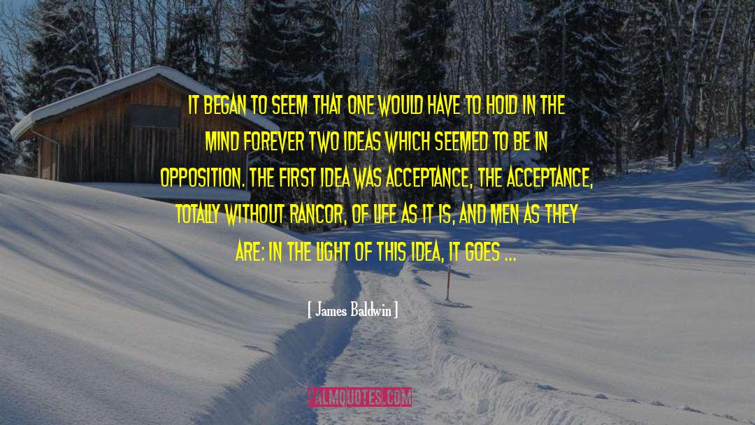 A Light To My Feet quotes by James Baldwin