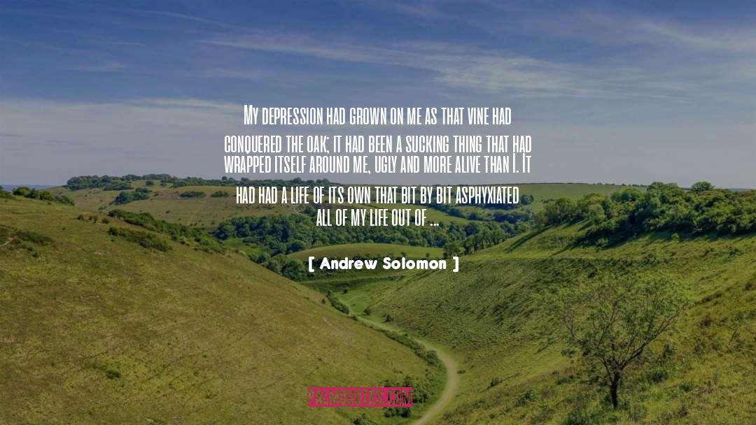 A Little Bit Of Meditation quotes by Andrew Solomon