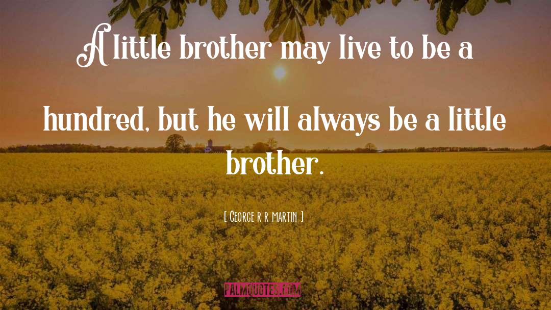 A Little Brother quotes by George R R Martin