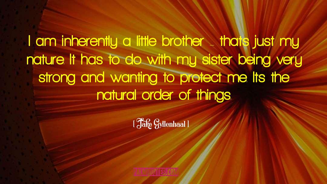 A Little Brother quotes by Jake Gyllenhaal