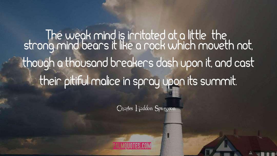 A Little Kindness quotes by Charles Haddon Spurgeon