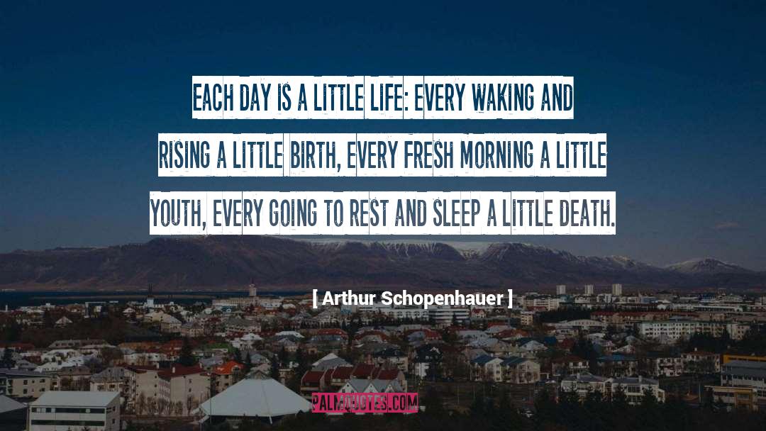 A Little Life quotes by Arthur Schopenhauer
