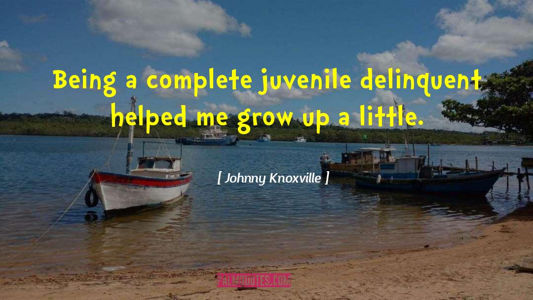 A Little Play quotes by Johnny Knoxville