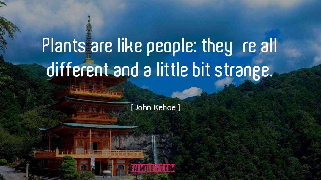 A Little quotes by John Kehoe