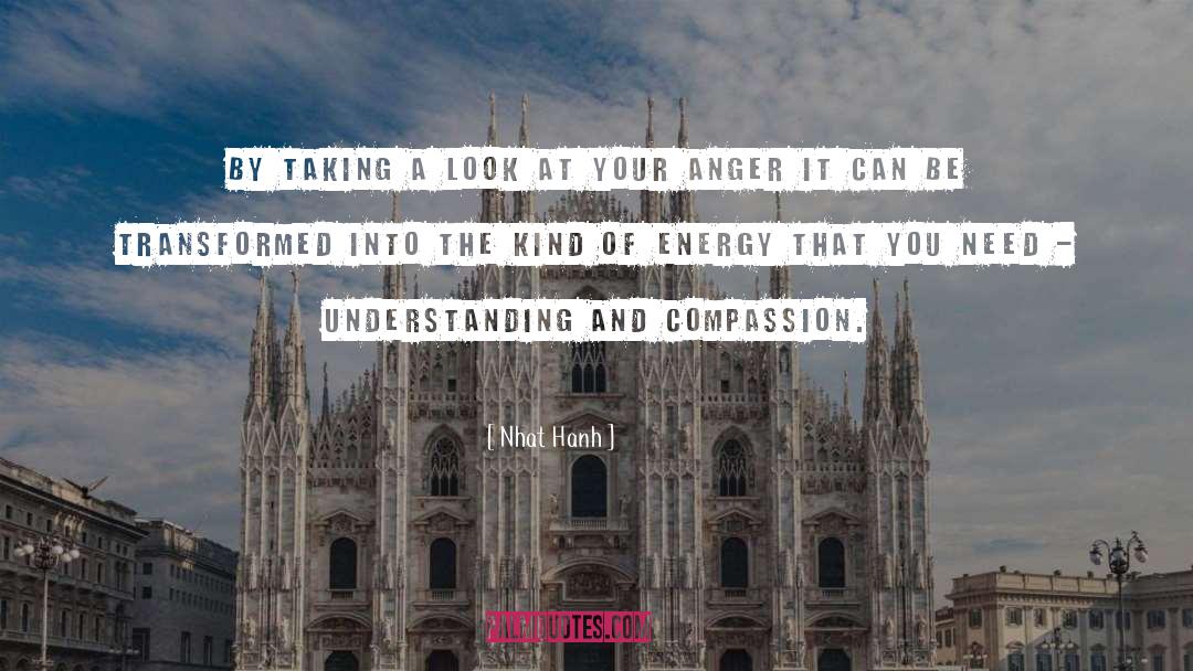 A Look quotes by Nhat Hanh