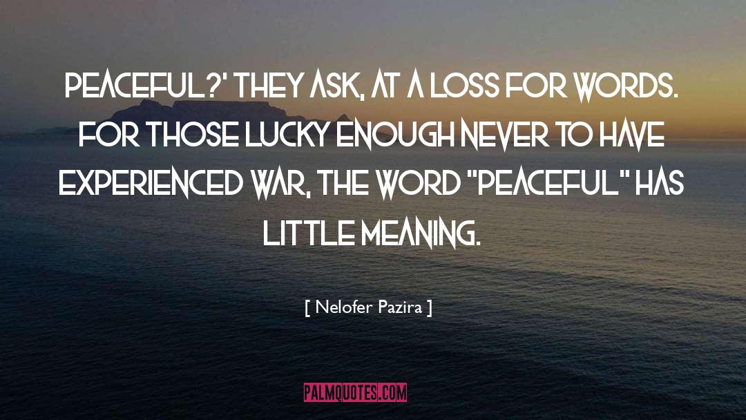 A Loss For Words quotes by Nelofer Pazira