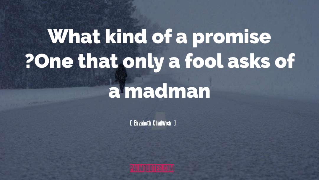 A Madman quotes by Elizabeth Chadwick