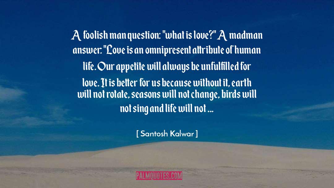 A Madman quotes by Santosh Kalwar