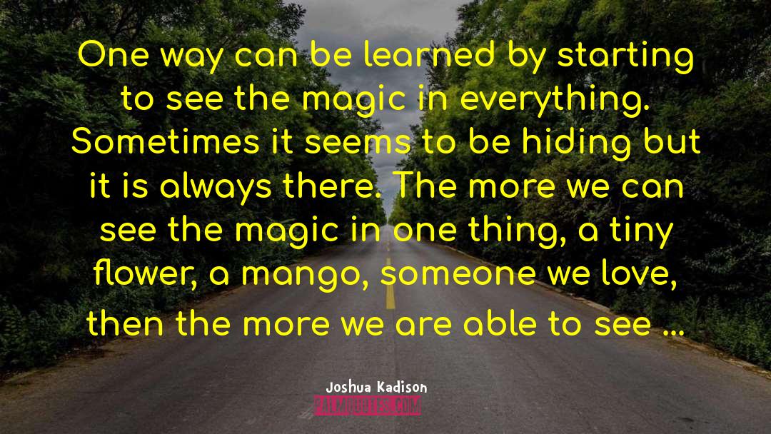 A Mango Shaped Space quotes by Joshua Kadison