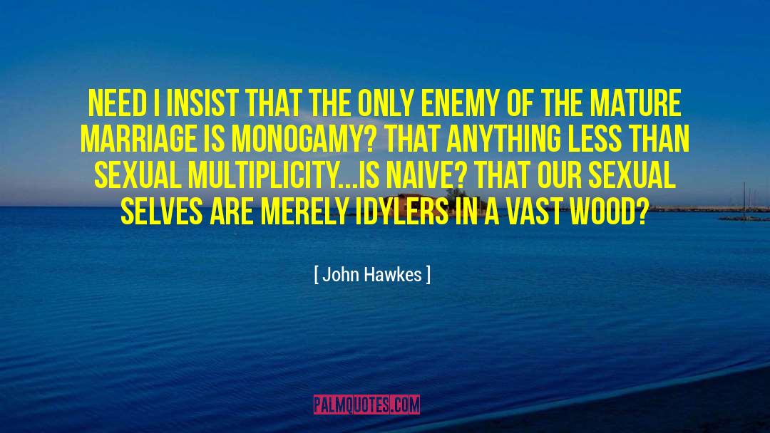 A Marriage In Time quotes by John Hawkes