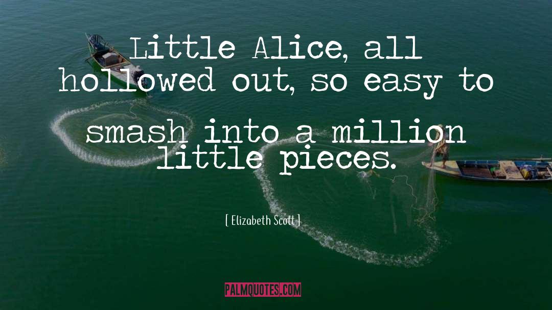 A Million Little Pieces quotes by Elizabeth Scott