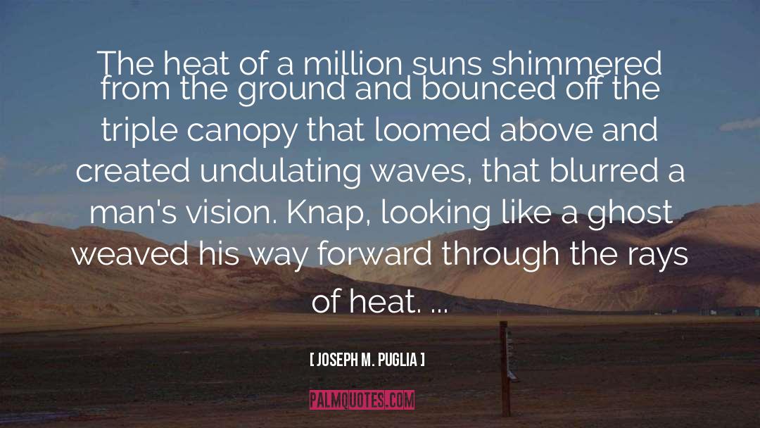 A Million Suns quotes by Joseph M. Puglia