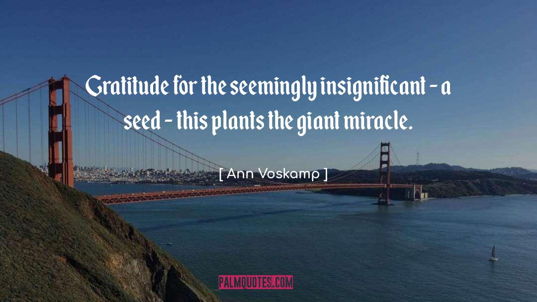 A Mimosa Plant quotes by Ann Voskamp