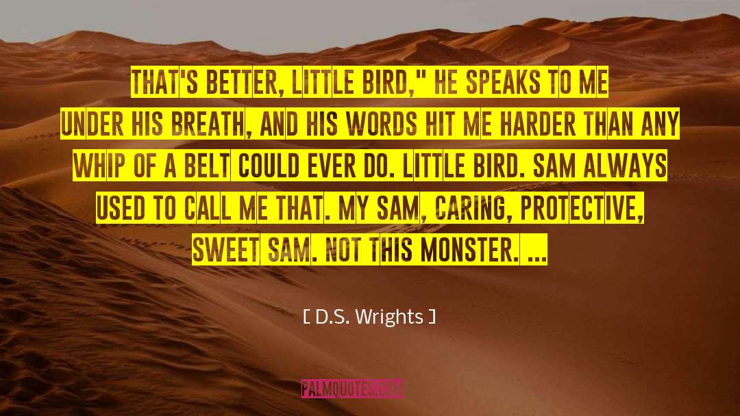 A Monster S Notes quotes by D.S. Wrights