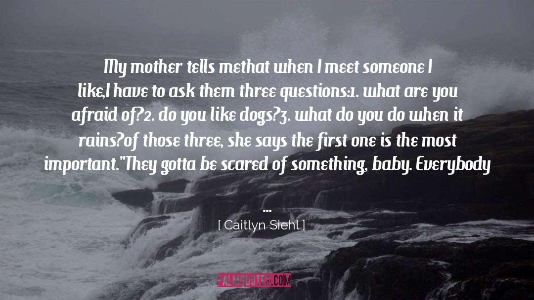 A Mother And Her Baby Girl quotes by Caitlyn Siehl