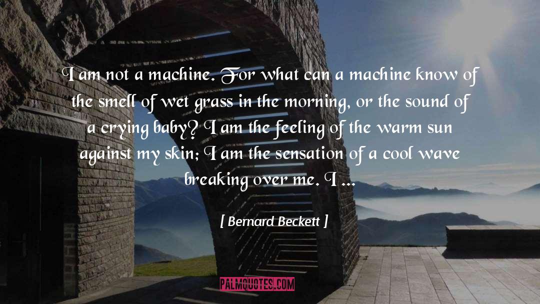 A Mother And Her Baby Girl quotes by Bernard Beckett