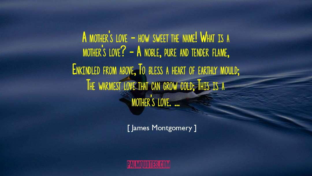 A Mothers Love quotes by James Montgomery