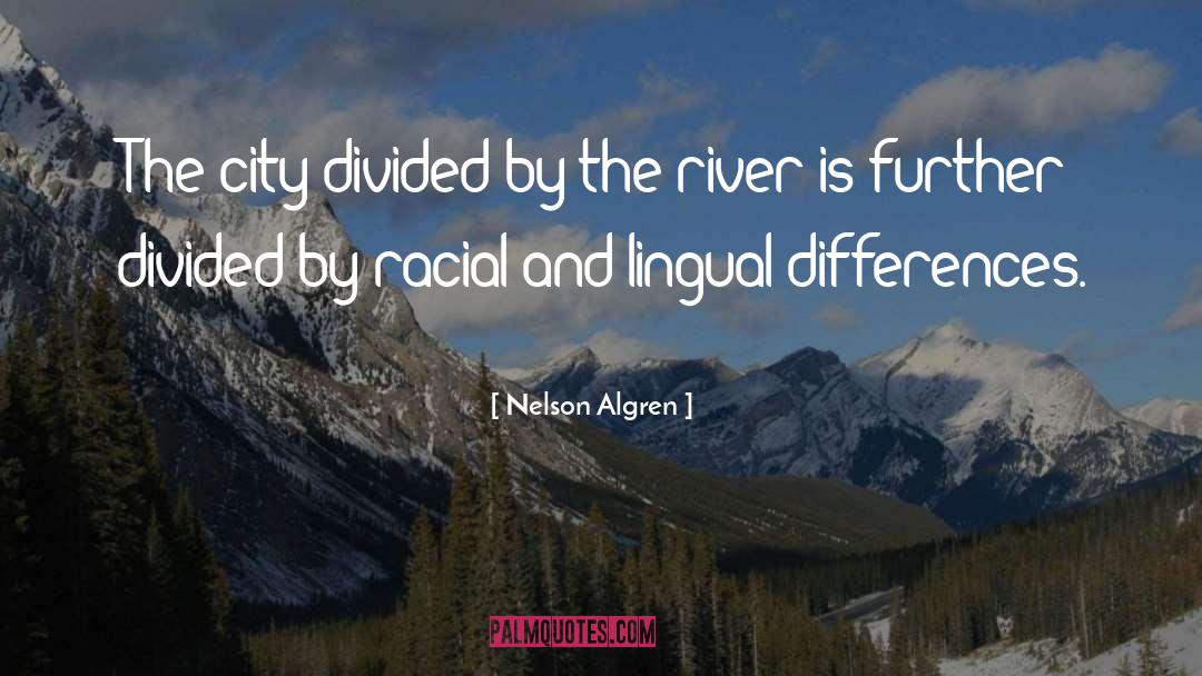 A Nation Divided Cannot Stand Quote quotes by Nelson Algren