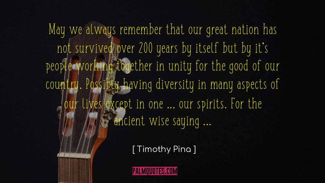 A Nation Divided Cannot Stand Quote quotes by Timothy Pina