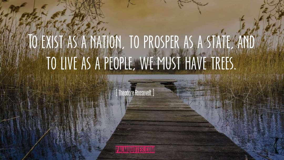 A Nation quotes by Theodore Roosevelt