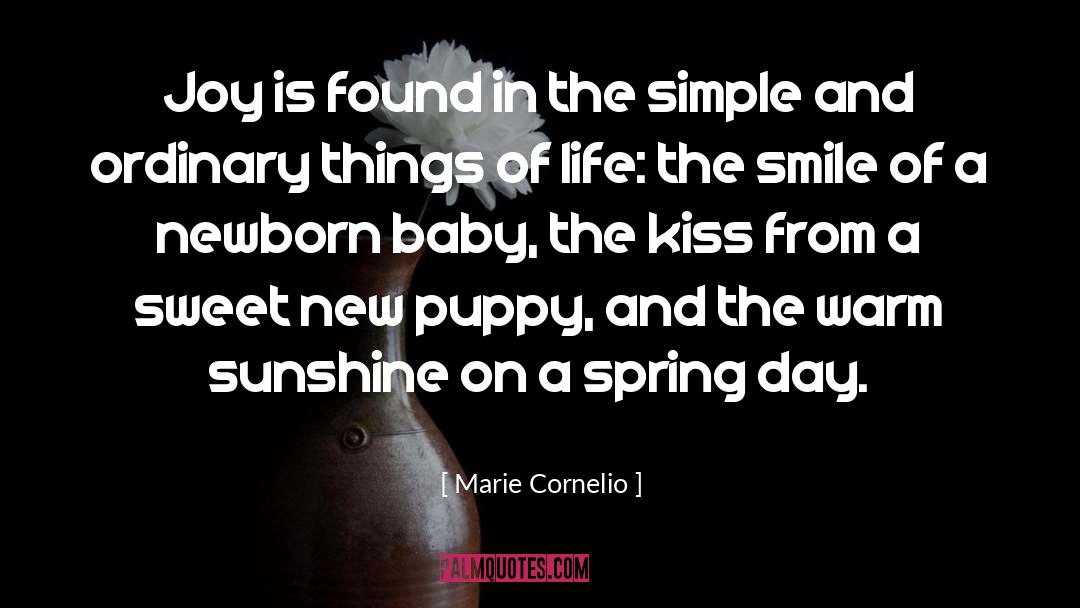 A New Baby Is The Beginning quotes by Marie Cornelio