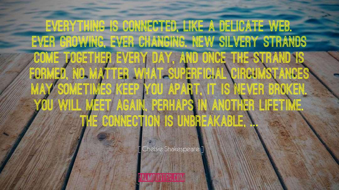 A New Day Is Here quotes by Chelsie Shakespeare
