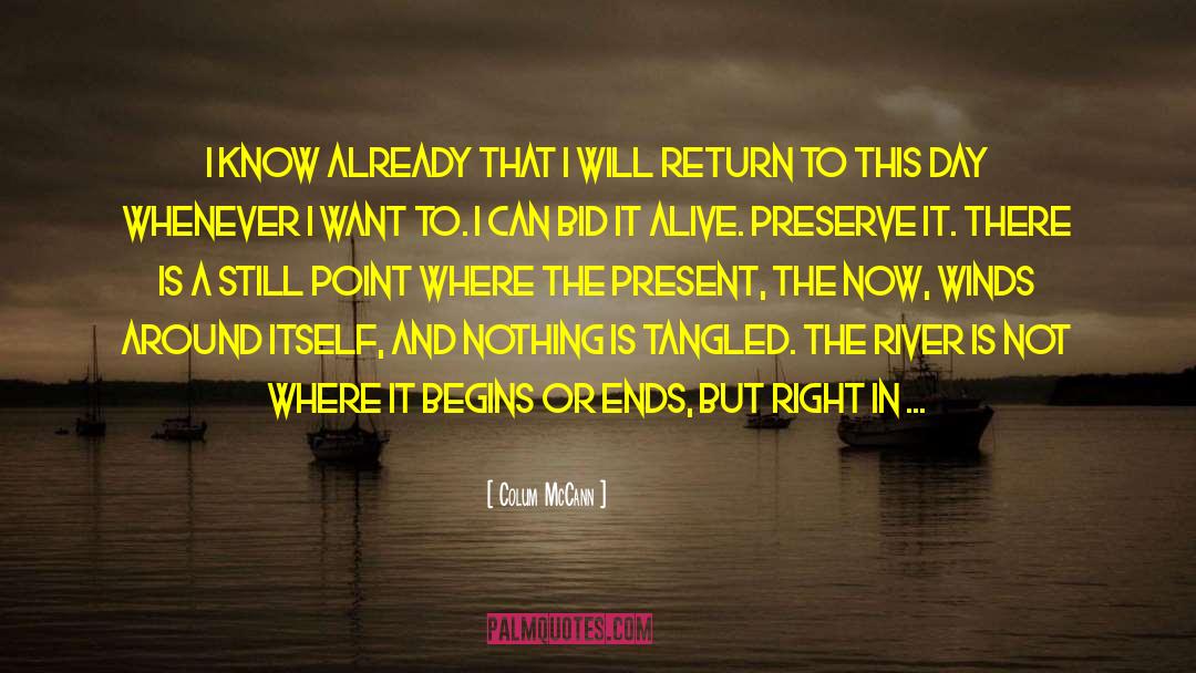 A New Day Is Here quotes by Colum McCann