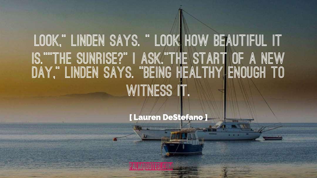 A New Day quotes by Lauren DeStefano