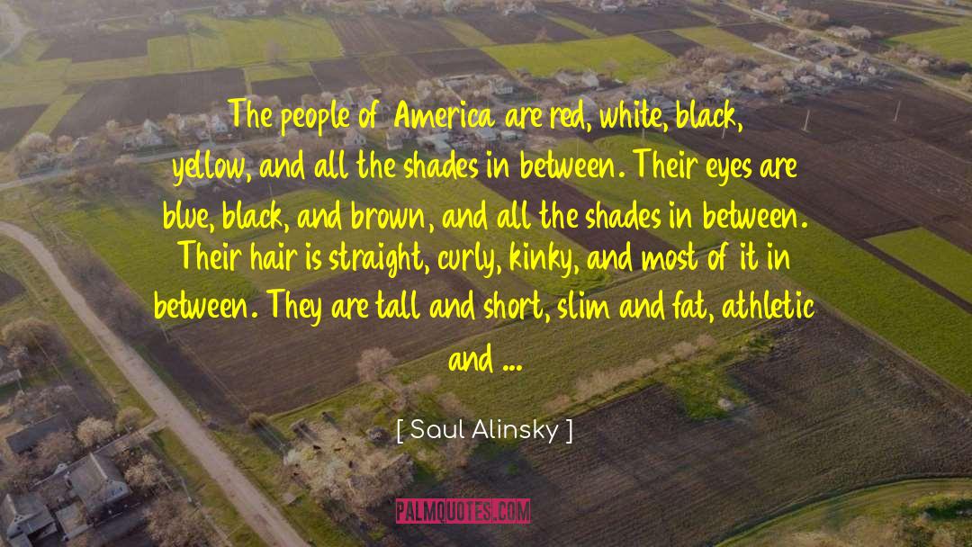 A New Light quotes by Saul Alinsky