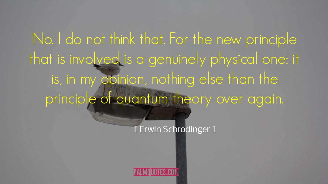 A New Morning quotes by Erwin Schrodinger