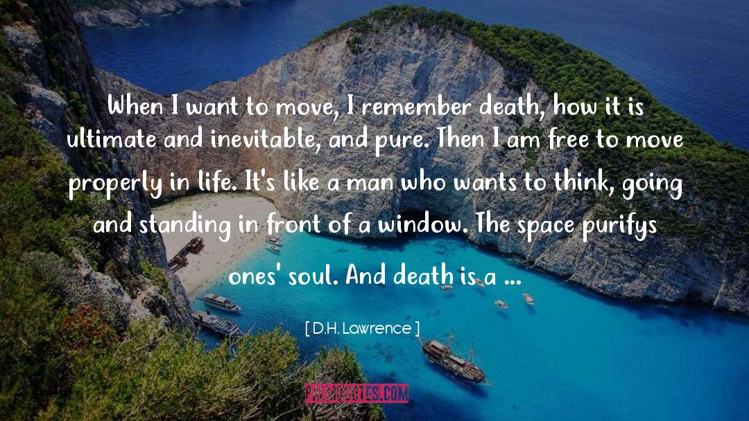 A New World quotes by D.H. Lawrence