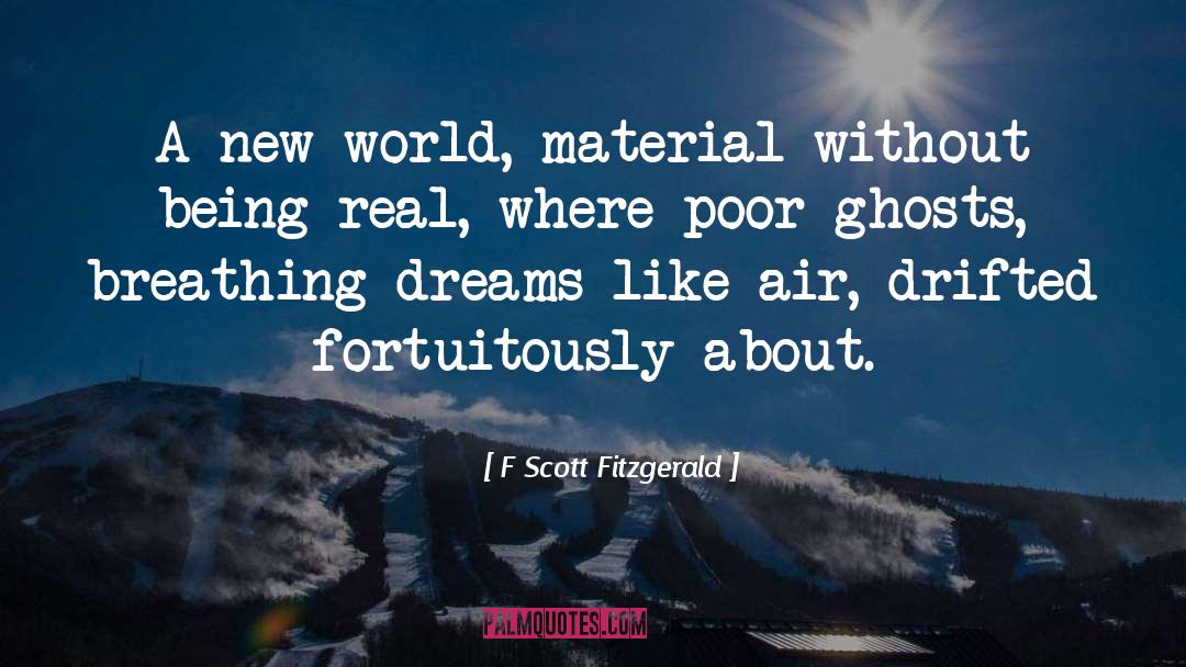 A New World quotes by F Scott Fitzgerald