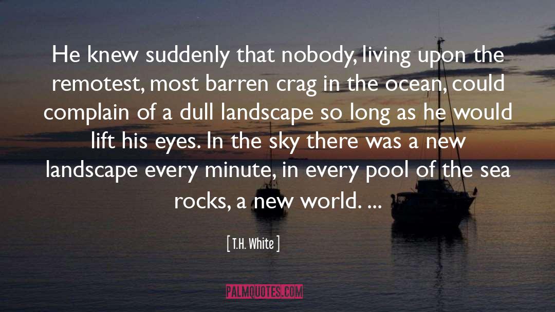 A New World quotes by T.H. White