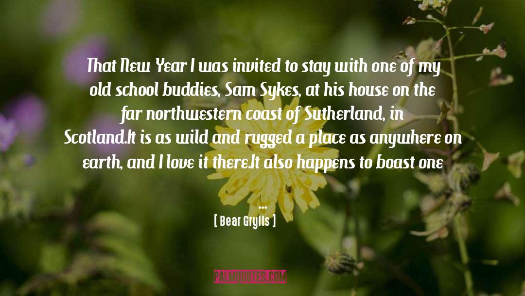 A New Year Wishes quotes by Bear Grylls