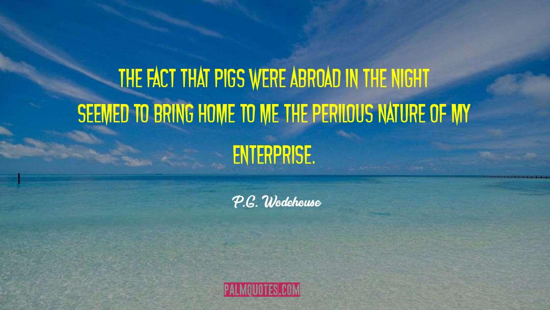 A Night In quotes by P.G. Wodehouse