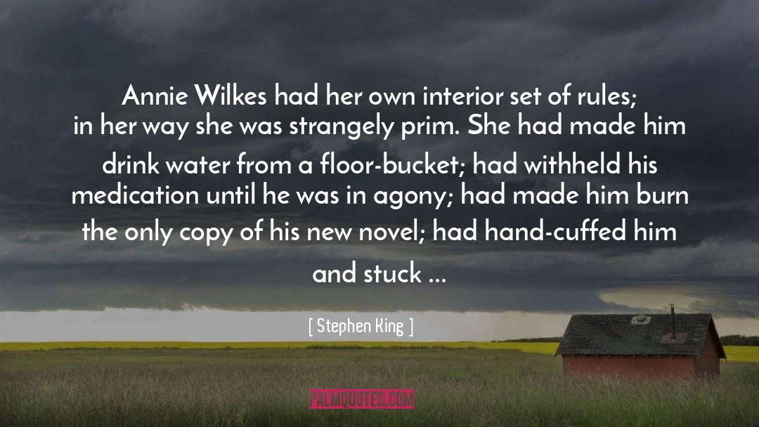 A Novel Idea quotes by Stephen King