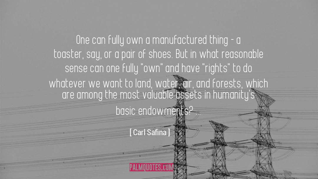 A Pair Of Shoes quotes by Carl Safina