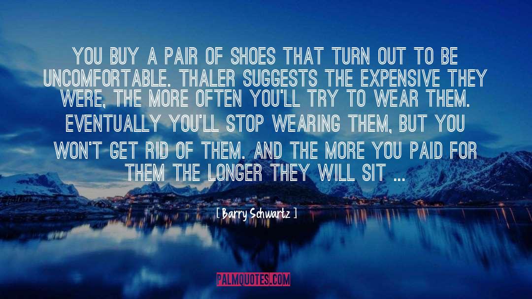 A Pair Of Shoes quotes by Barry Schwartz