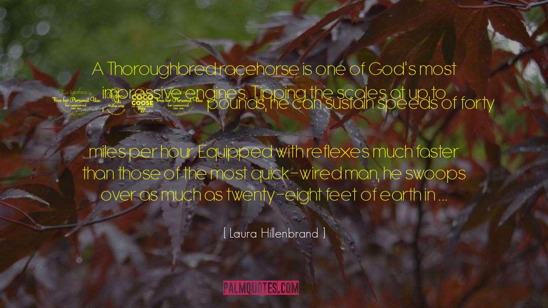 A Paradox quotes by Laura Hillenbrand