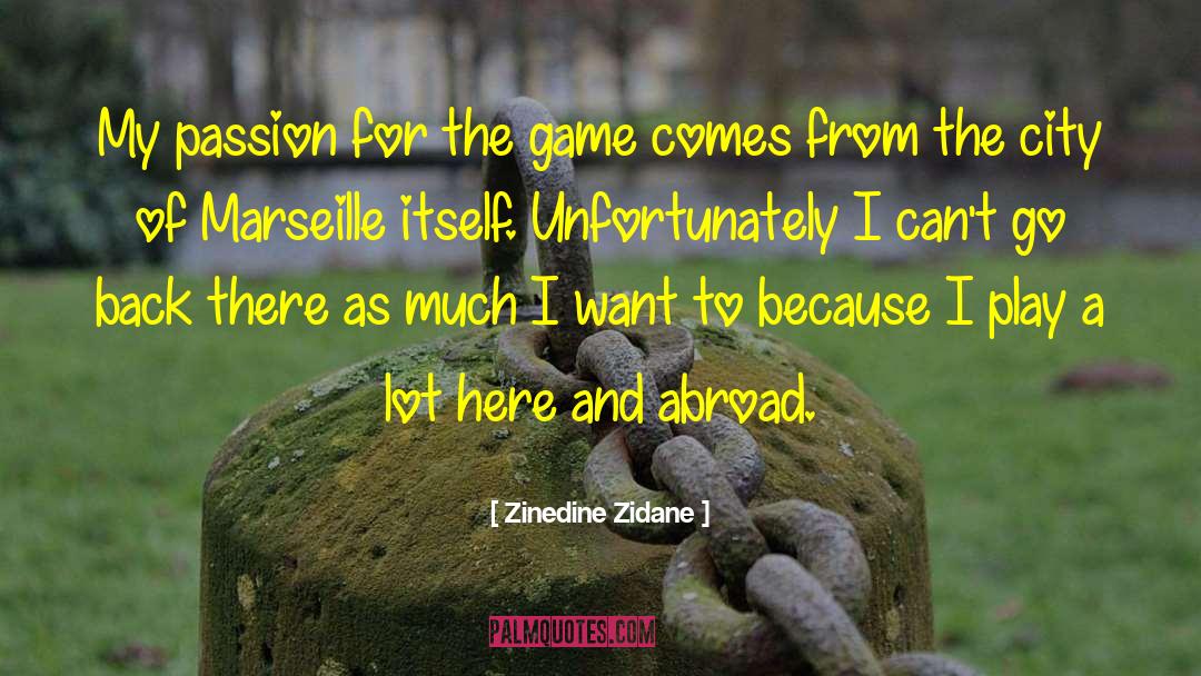 A Passion For Books quotes by Zinedine Zidane