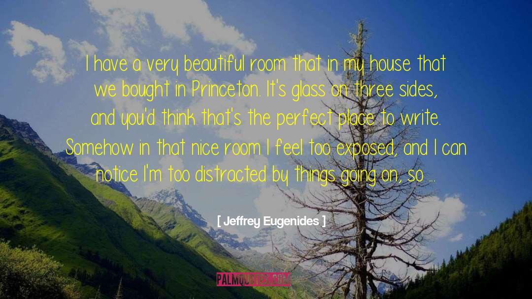 A Perfect Blood quotes by Jeffrey Eugenides