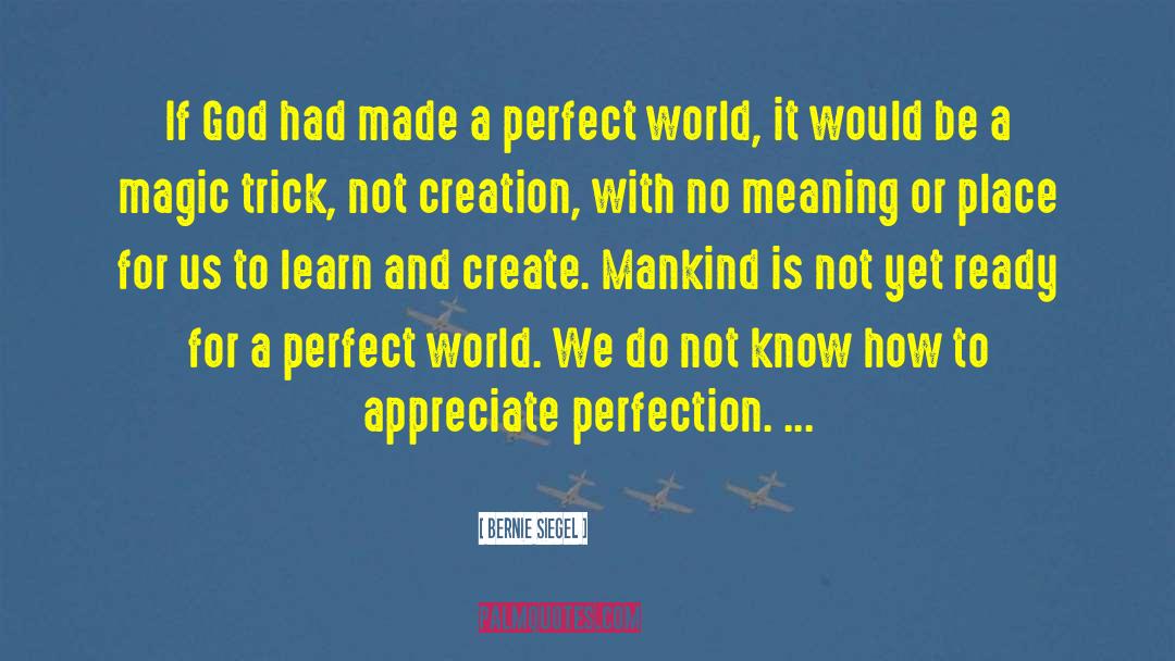 A Perfect World quotes by Bernie Siegel