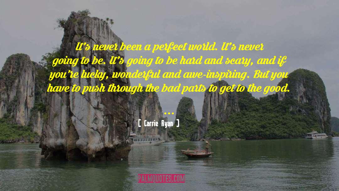 A Perfect World quotes by Carrie Ryan