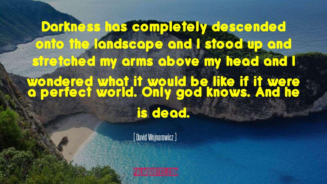 A Perfect World quotes by David Wojnarowicz