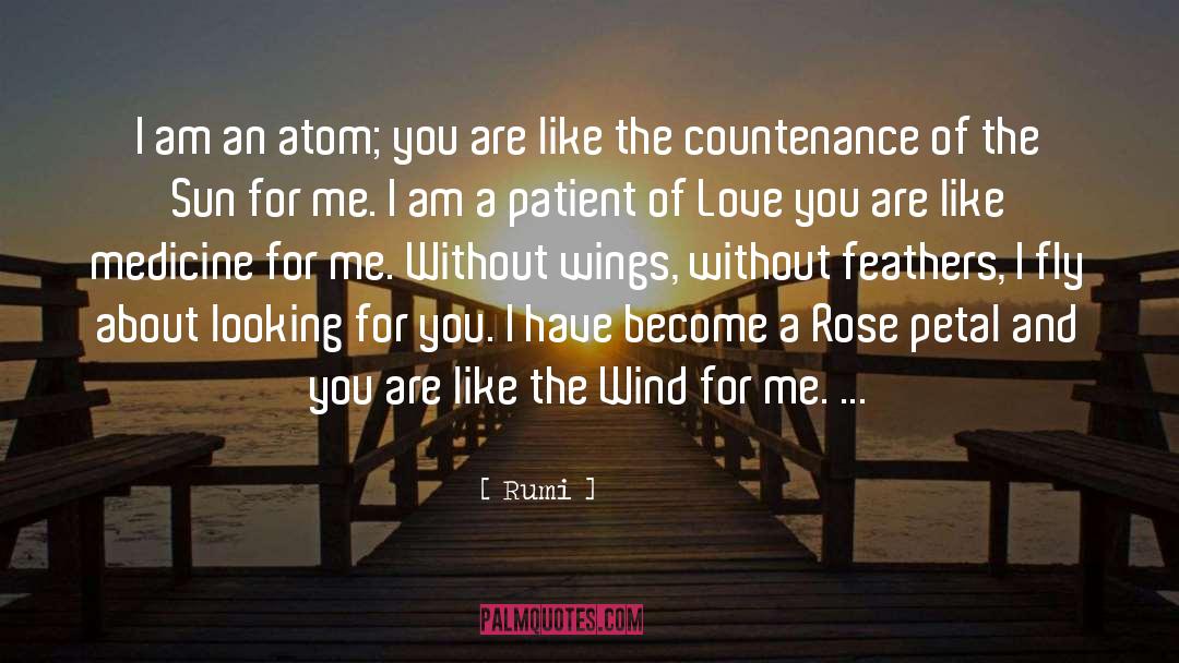 A Petal quotes by Rumi