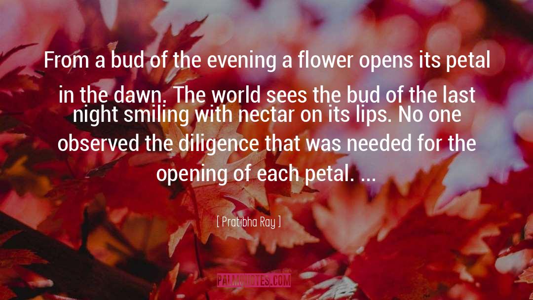 A Petal quotes by Pratibha Ray