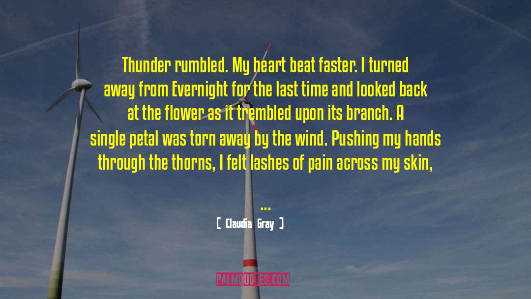 A Petal quotes by Claudia Gray